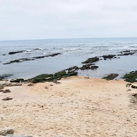 Oceanica 1 *