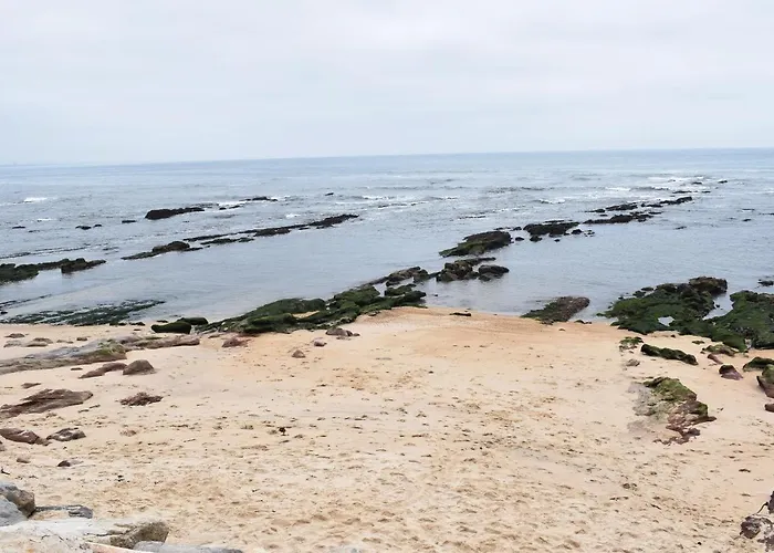 Oceanica 1 *