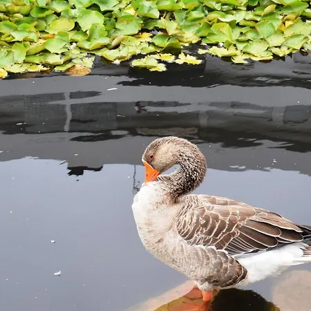 Oceanica 1 * Figueira da Foz