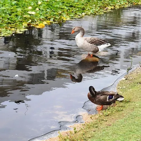 Oceanica 1 Figueira da Foz