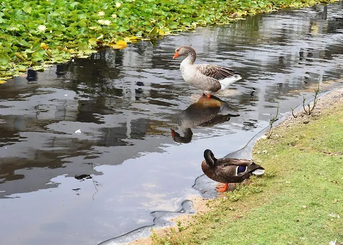 Oceanica 1 Figueira da Foz